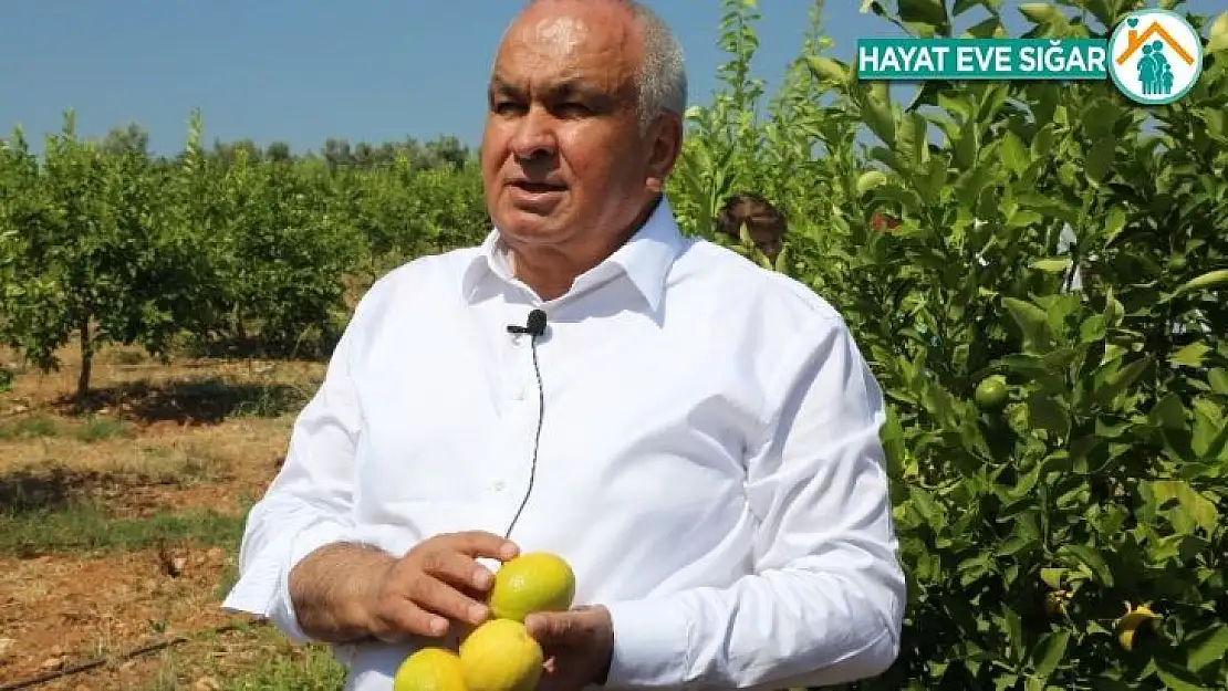  Başkan Tollu Limonda ihracat kapıları bir an önce açılmalı