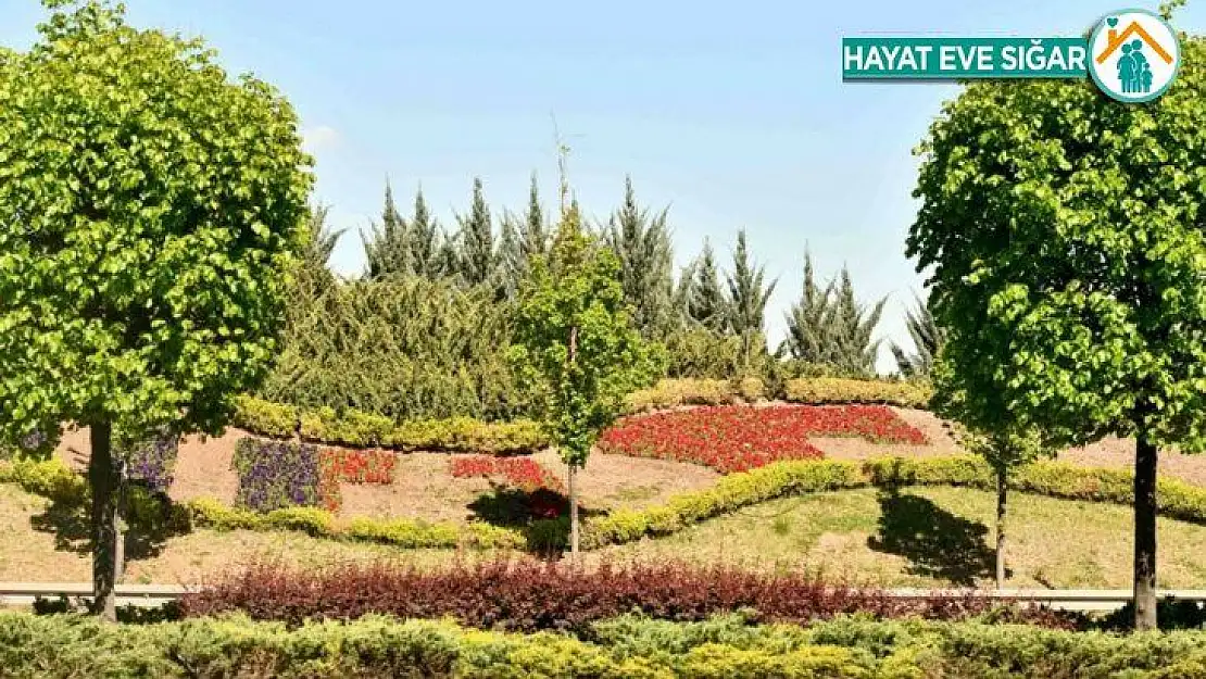 Başkent çiçeklerle güzelleşiyor