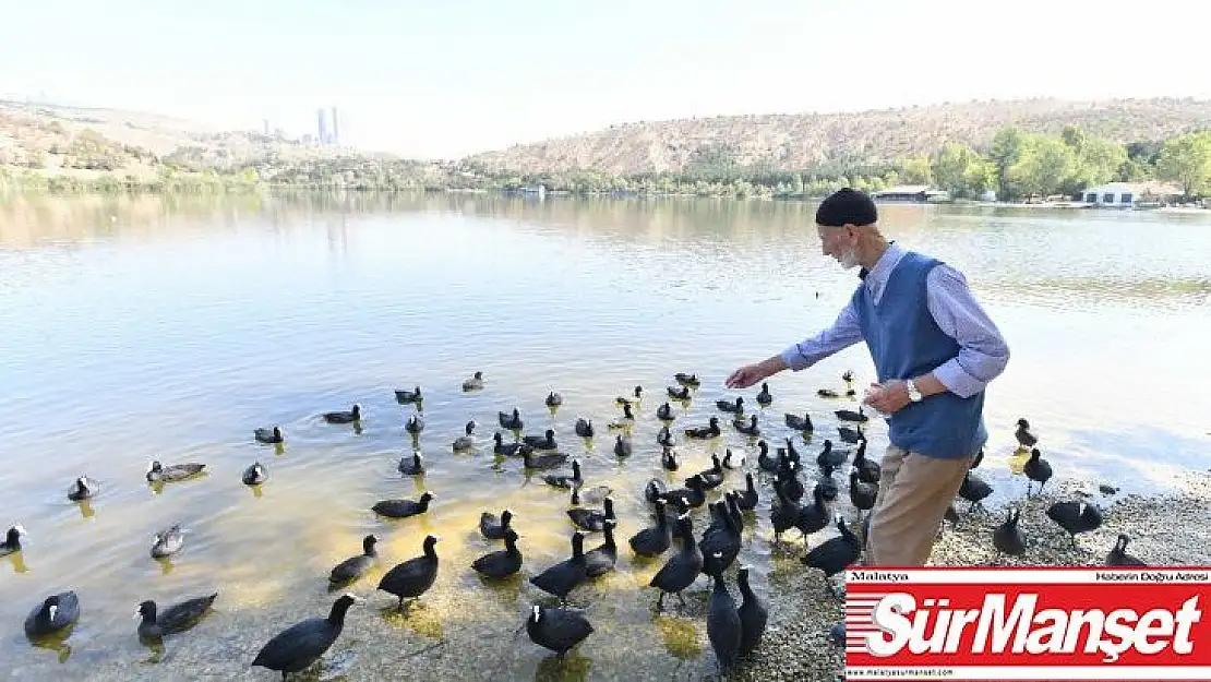 Başkent'te yürümenin yaşı yok