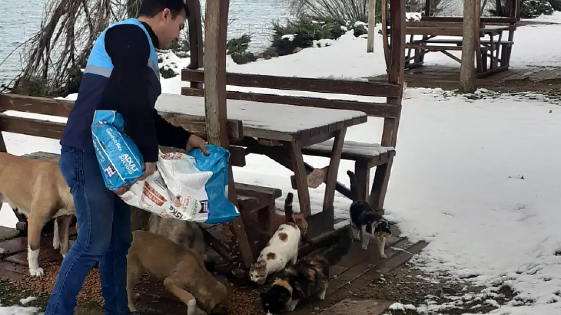 Battalgazi Belediyesi Soğukta Açlıkla Mücadele Eden Can Dostlarımızı Unutmuyor