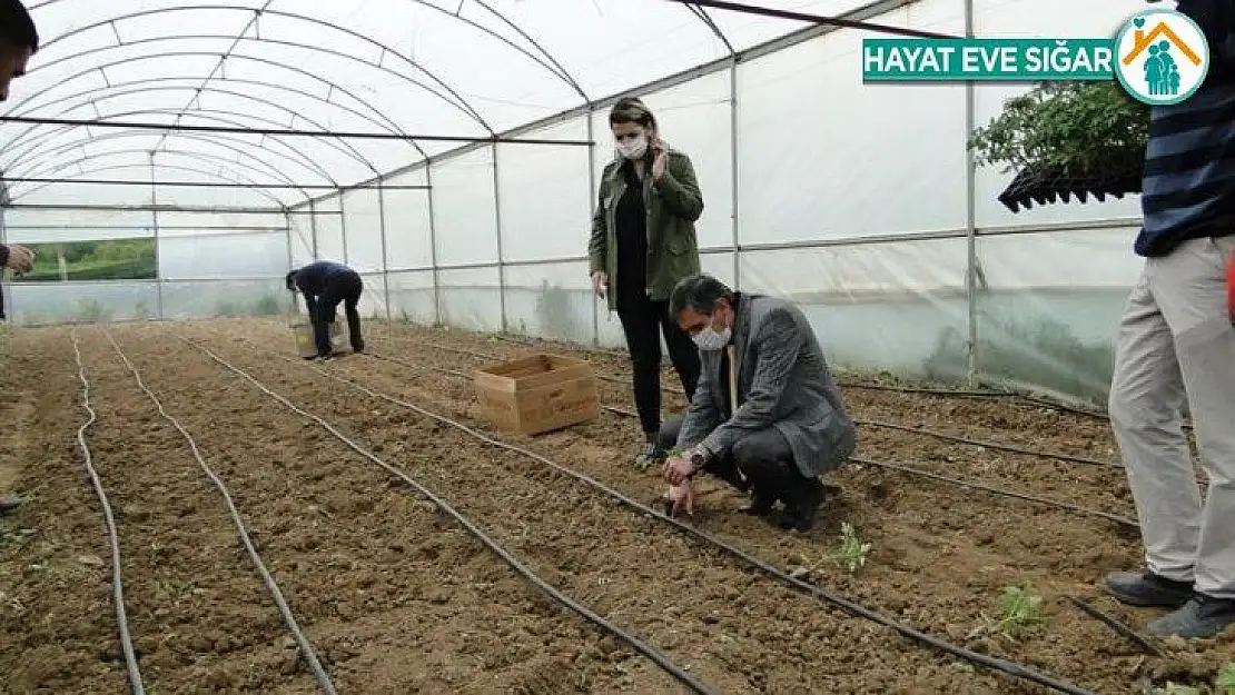 Battalgazi'de fide dikimi yaygınlaştırılıyor