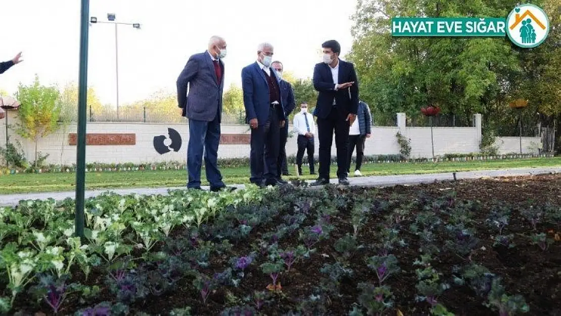 Battalgazi'ye 25 bin kök süs bitkisi dikiliyor