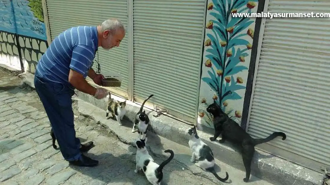 Bayram tatiline çıkan esnaf kepenk kapatınca sokak hayvanlarının yardımına koştu