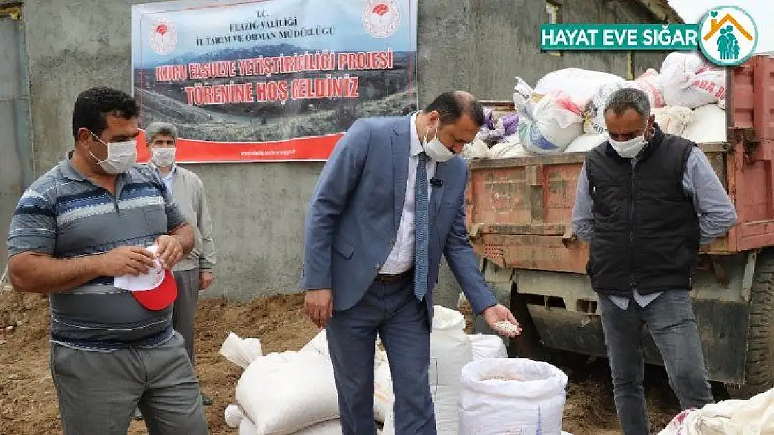 Bermaz Ovası'nda 'Gezin Fasulyesi'  için tohum desteği