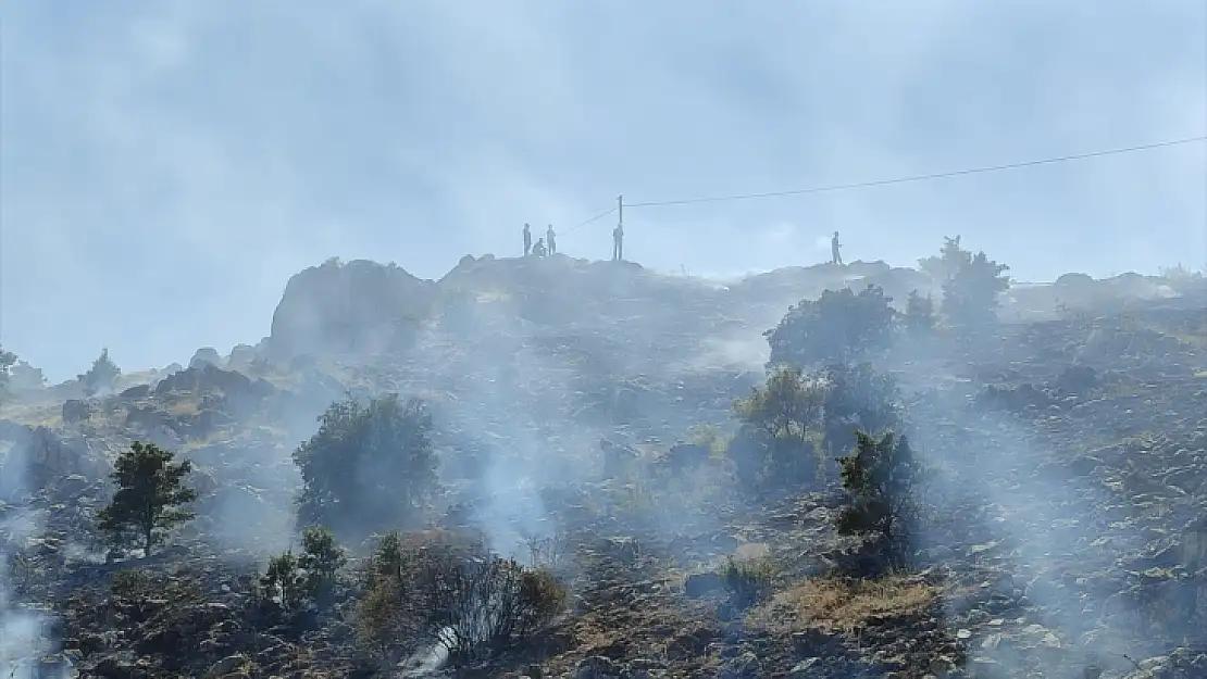 Beş İlçesinde Çıkan Ot Ve Bahçe Yangınları Söndürüldü