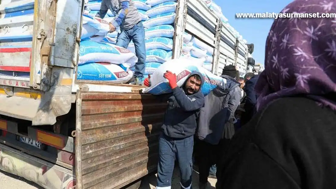 Besicilere yüzde 100 hibeyle 375 ton yem desteği