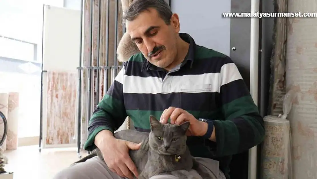 Beslemek için aldığı kedi can dostu oldu