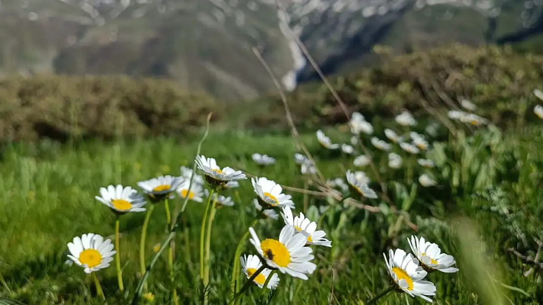 Beyhan'ın Saklı Güzellikleri Gün Yüzüne Çıkıyor