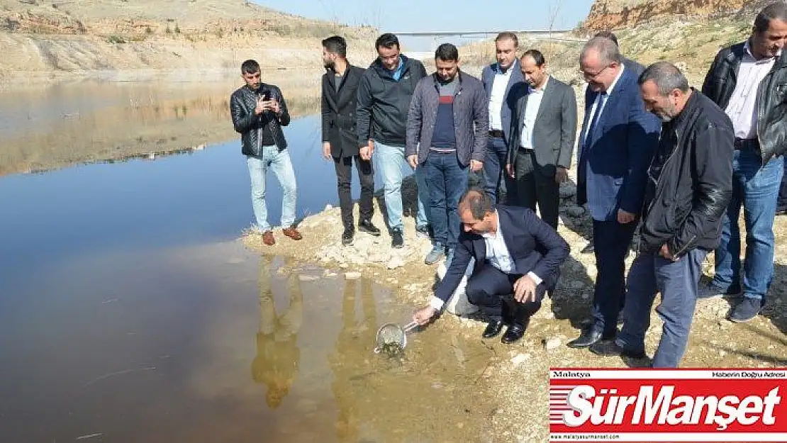 Beylerderesi göletine 10 bin sazan bırakıldı