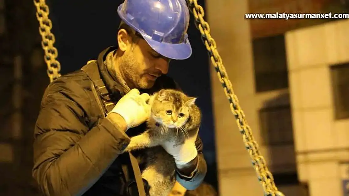 Bina enkazının yıkımı durduruldu, 'Zena' isimli kedi kurtarıldı