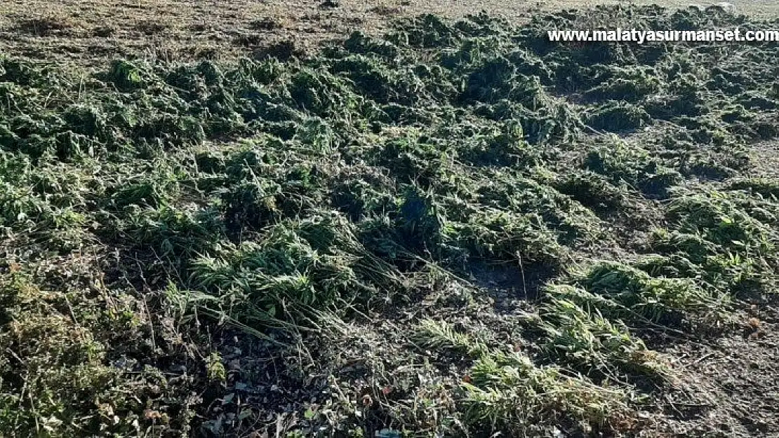 Bingöl'de 337 kilo uyuşturucu maddesi ele geçirildi