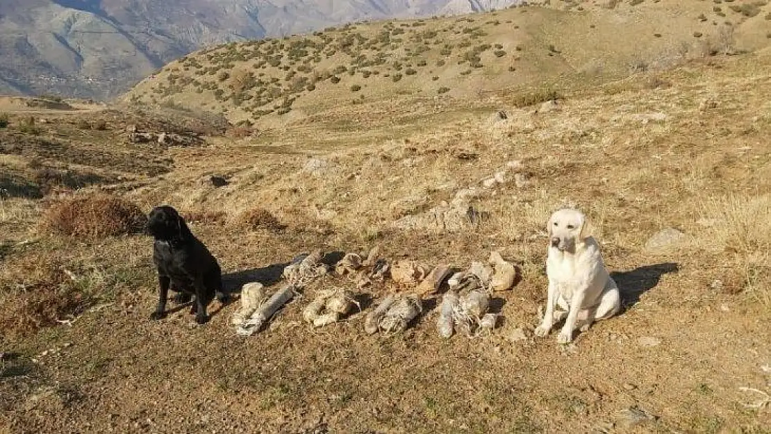 Bitlis'te terör örgütüne ait 8 adet EYP ele geçirildi