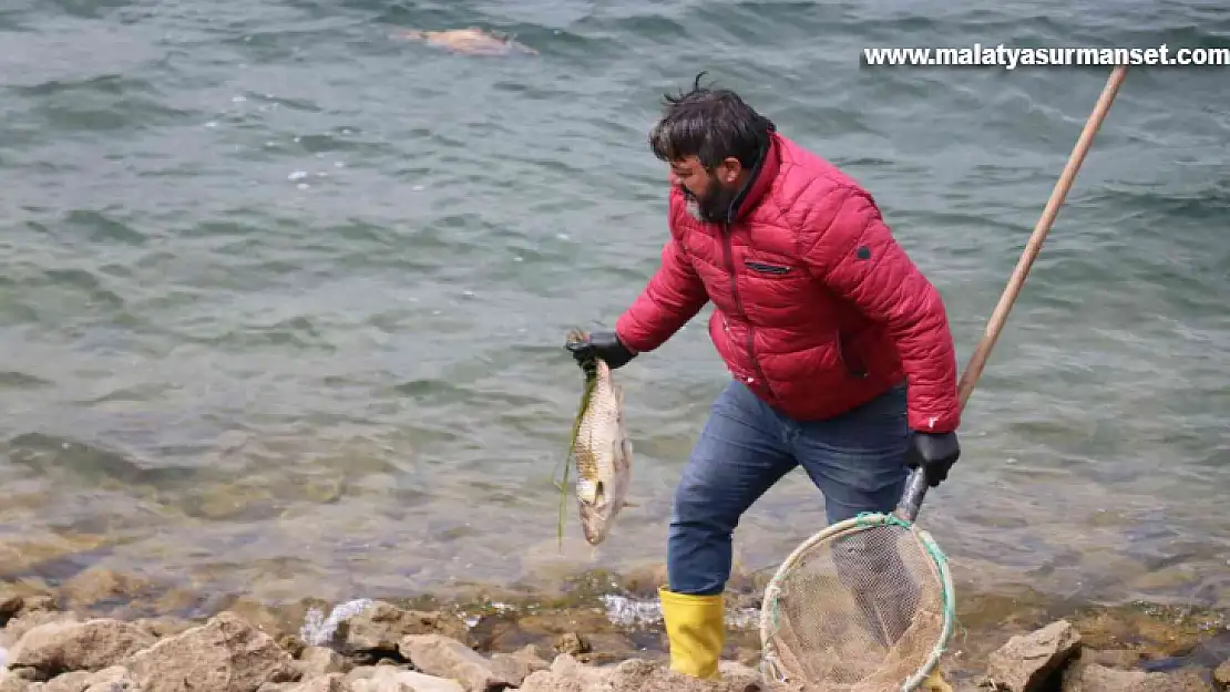 balık ölümlerine ilişkin adli soruşturma başlatıldı