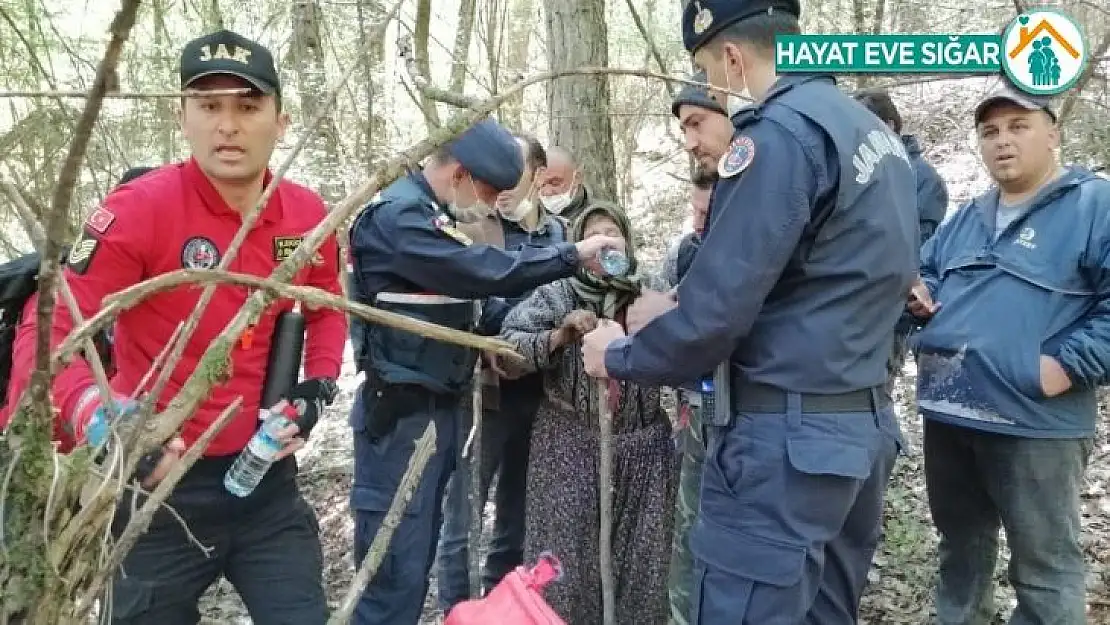 Bolu'da, kaybolan yaşlı kadını jandarma timleri buldu