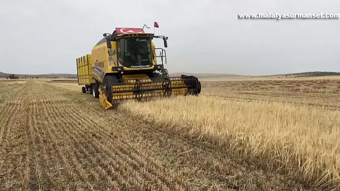 Bu sezon hububat veriminin yüksek olması bekleniyor