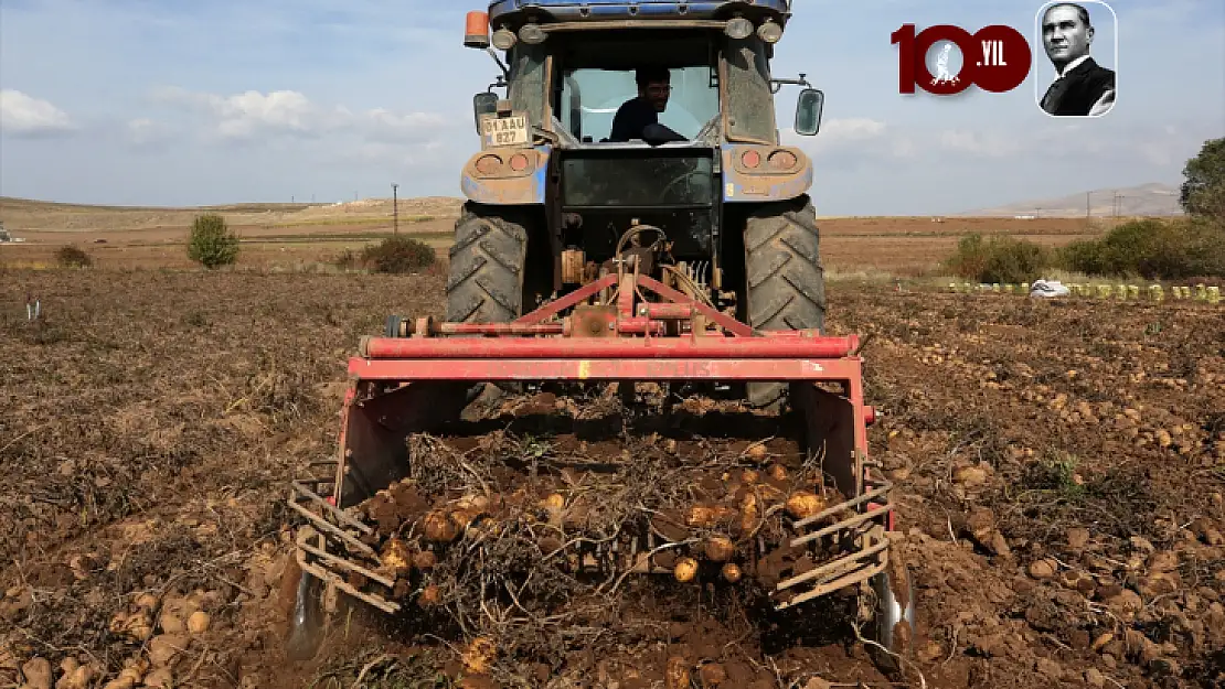 Bu Yıl 313 Bin Ton Tohumluk Ve Yemeklik Patates Üretimi Hedefleniyor