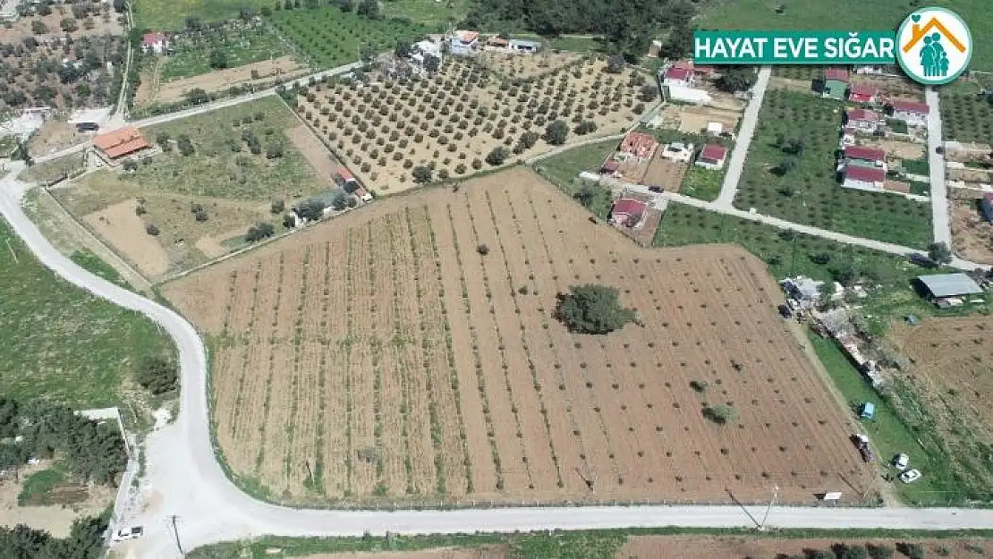 Buca'nın tüm arazileri tarımsal üretime açılıyor