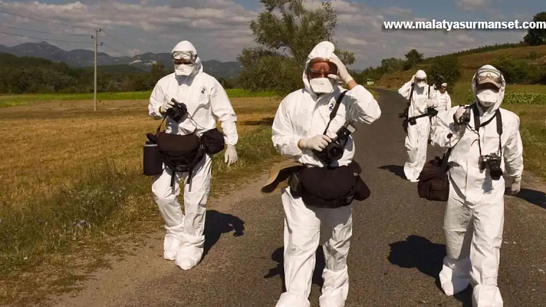 Bulgaristan'da 19 bin tavuk kuş gribi nedeniyle itlaf edilecek