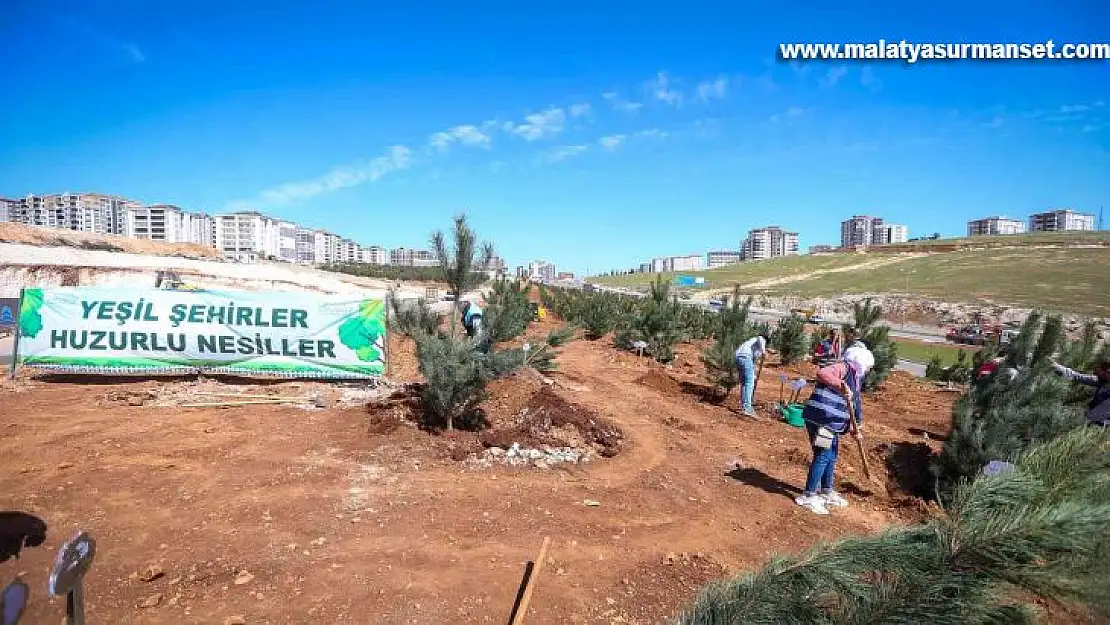 Büyükşehir 250 karaçam dikimi yaptı