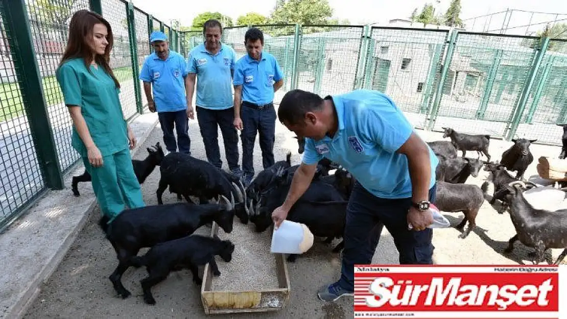 Büyükşehir Belediyesi personelini can ve mal güvenliği konusunda bilinçlendiriyor