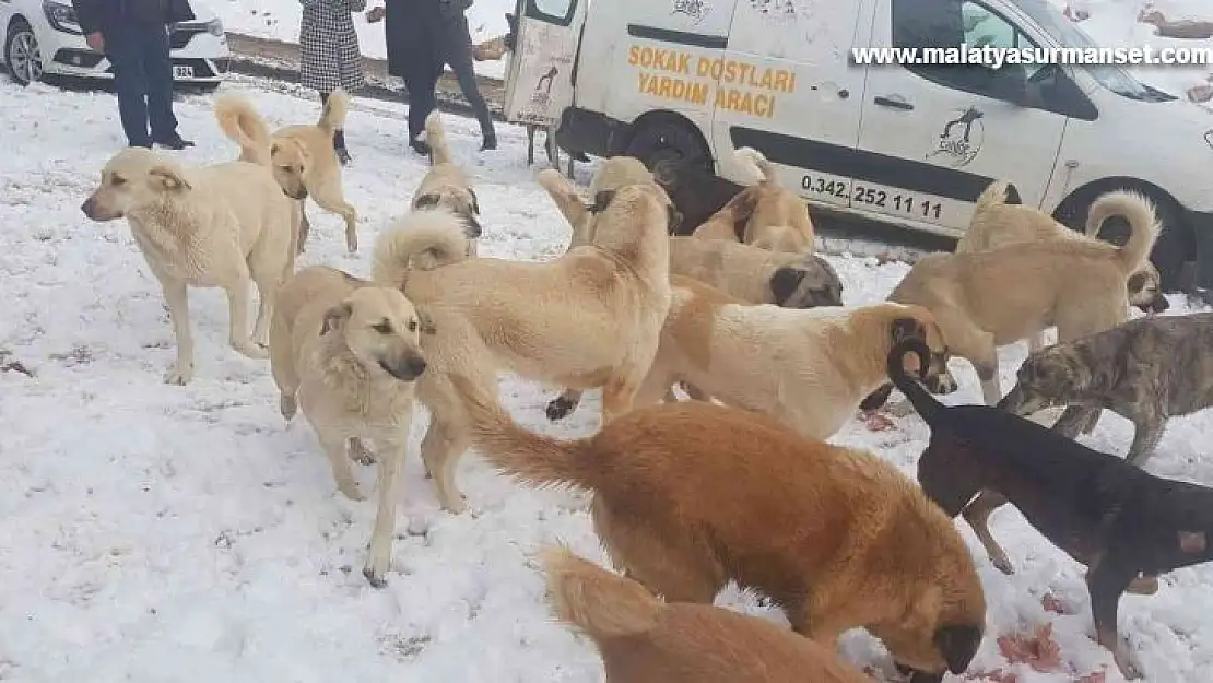 Cahide karda can dostların yanında