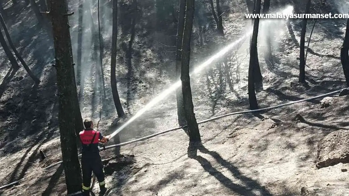 Çamlık alanda korkutan yangın