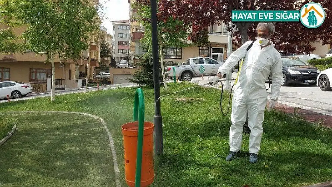 Çankaya'da salgın hastalıkla mücadele çalışmaları sürüyor