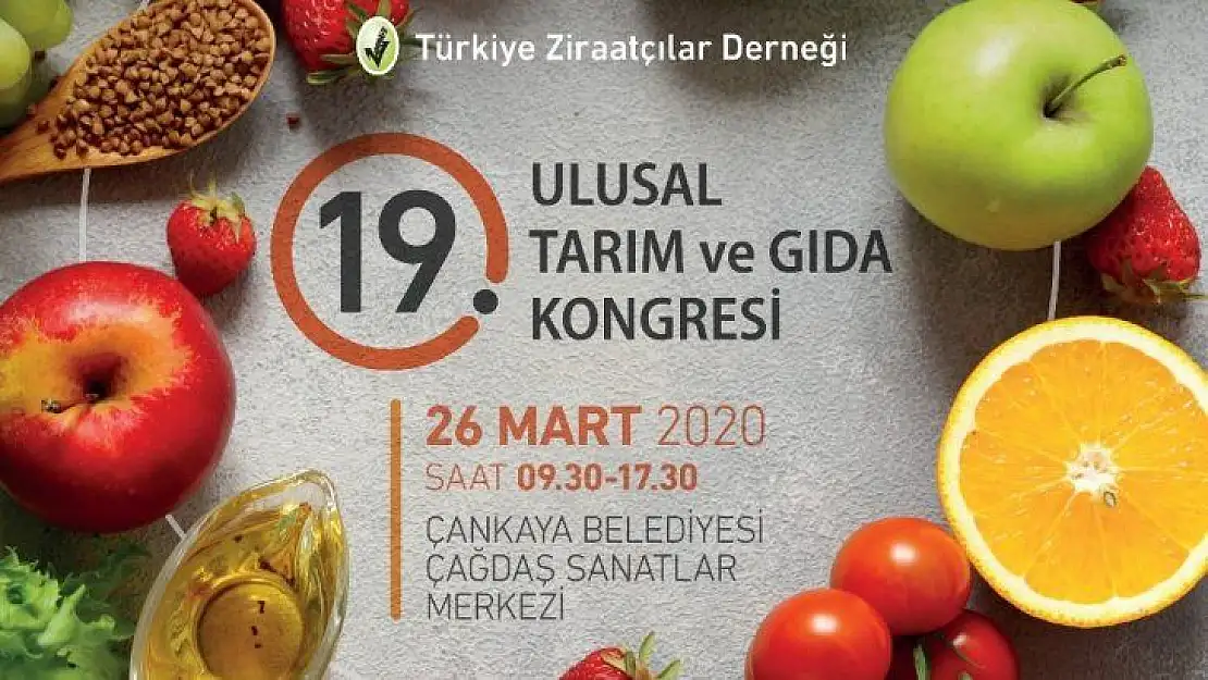 Çankaya Mart'ta sanat dolu