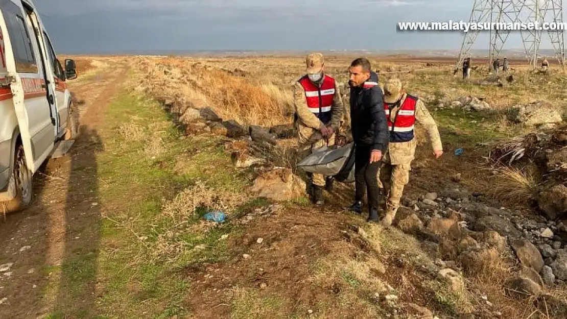 Cansız bedeni bulunan Şerifa'nın ön otopsisi belli oldu