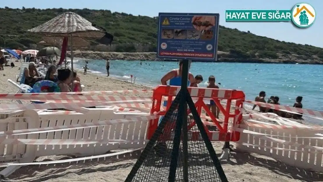 Caretta caretta yumurtalarına gözleri gibi bakacaklar