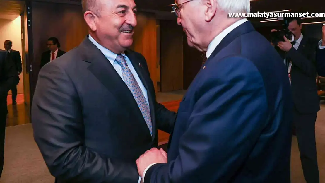 Çavuşoğlu, Almanya Cumhurbaşkanı Steinmeier ile bir araya geldi