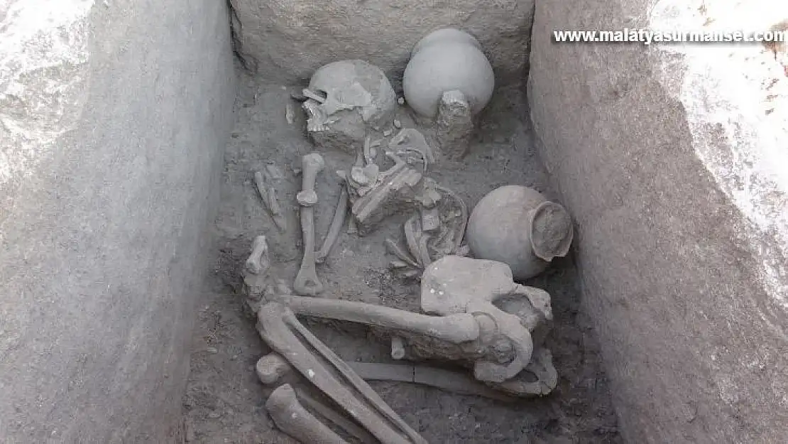 Çayönü Höyüğü'nden sandık tipi mezar çıktı