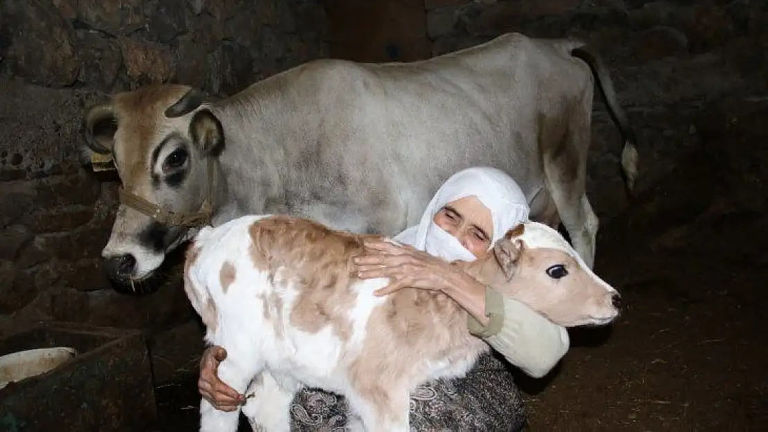 Cemile teyzenin mutluluk fotoğrafı