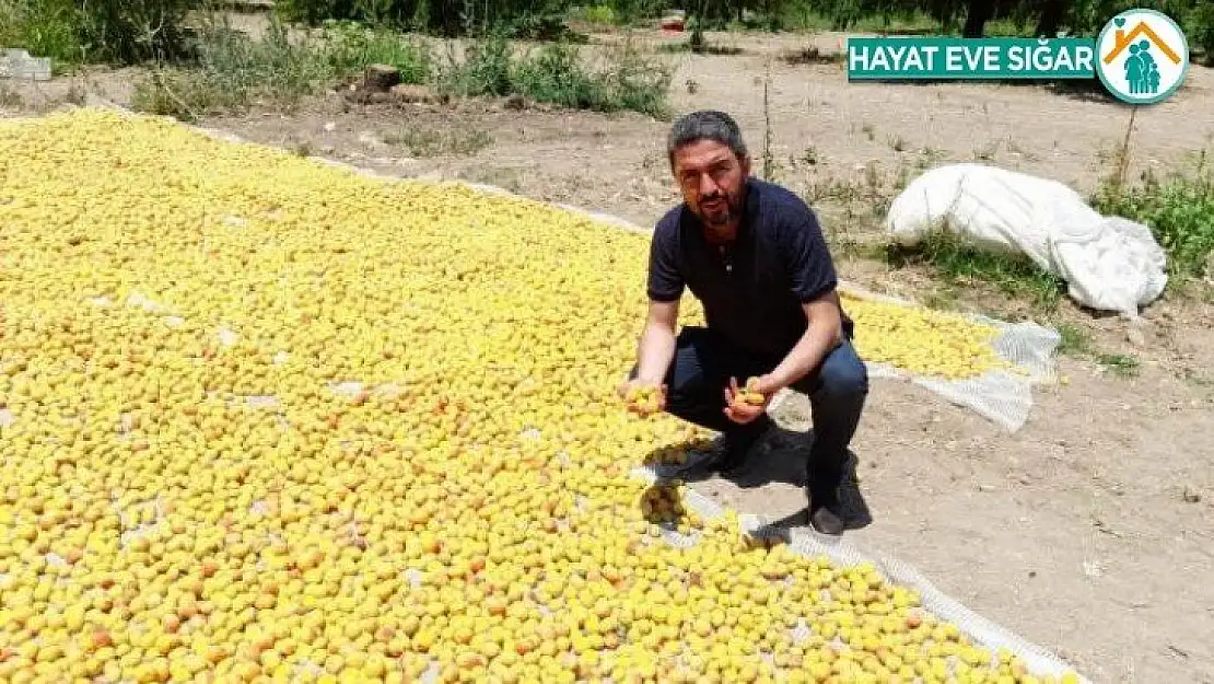 CHP İl Bşk. Kiraz' AKP, çiftçiyi Kaderiyle Baş Başa Bırakıyor'