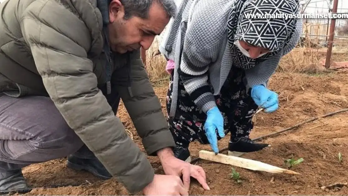 Çiftçilere mazot ve gübre desteği ödemeleri başladı