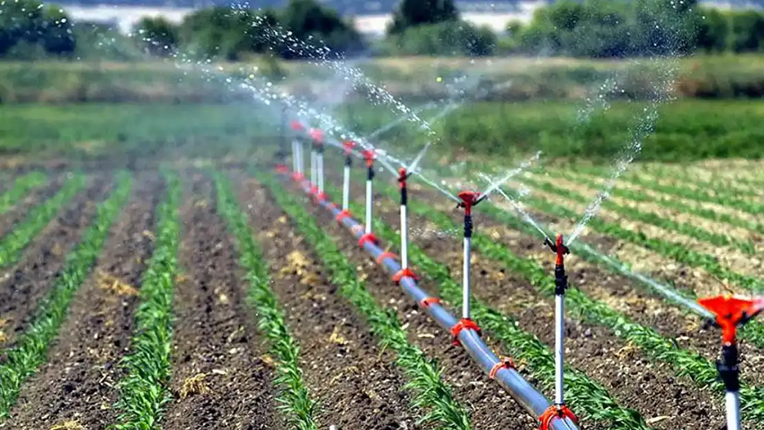 Çiftçilere Müjde 323 Milyon TL Destek Hesaplara Aktarılıyor