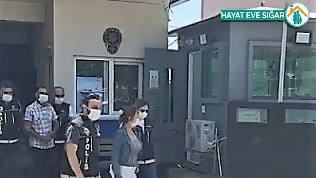 Çiftlikte kenevir yetiştiren karı koca tutuklandı