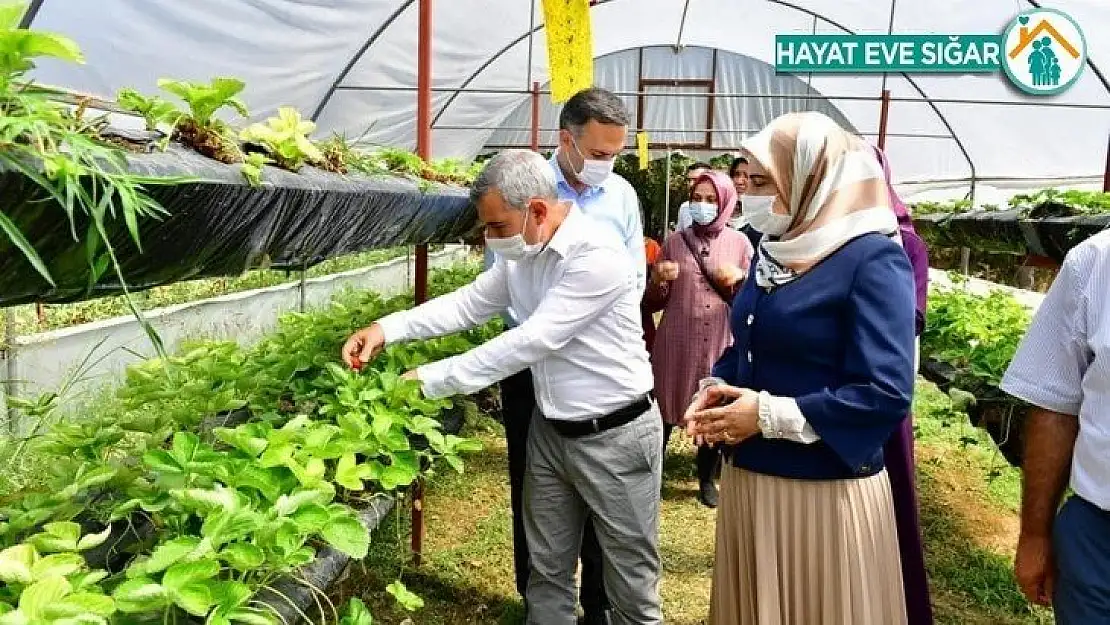 Çınar, kadın girişimcileri sera alanında ağırladı