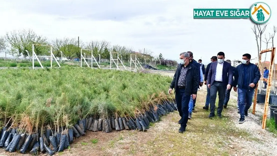 Çınar, Tepeköy fidanlık alanında ki çalışmaları inceledi