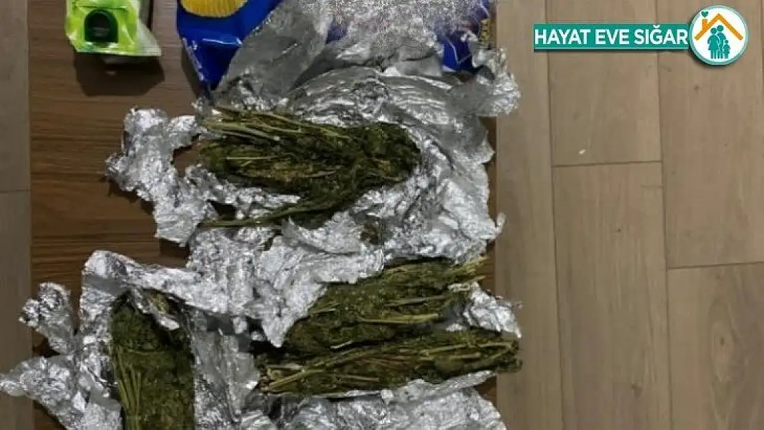 Cips paketinde esrar nakliyatı