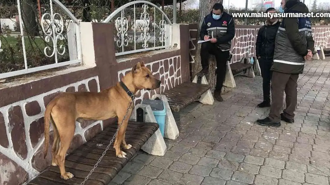 Çocuk parkında pitbull gezdiriyordu, cezayı duyunca kendi elleri ile teslim etti