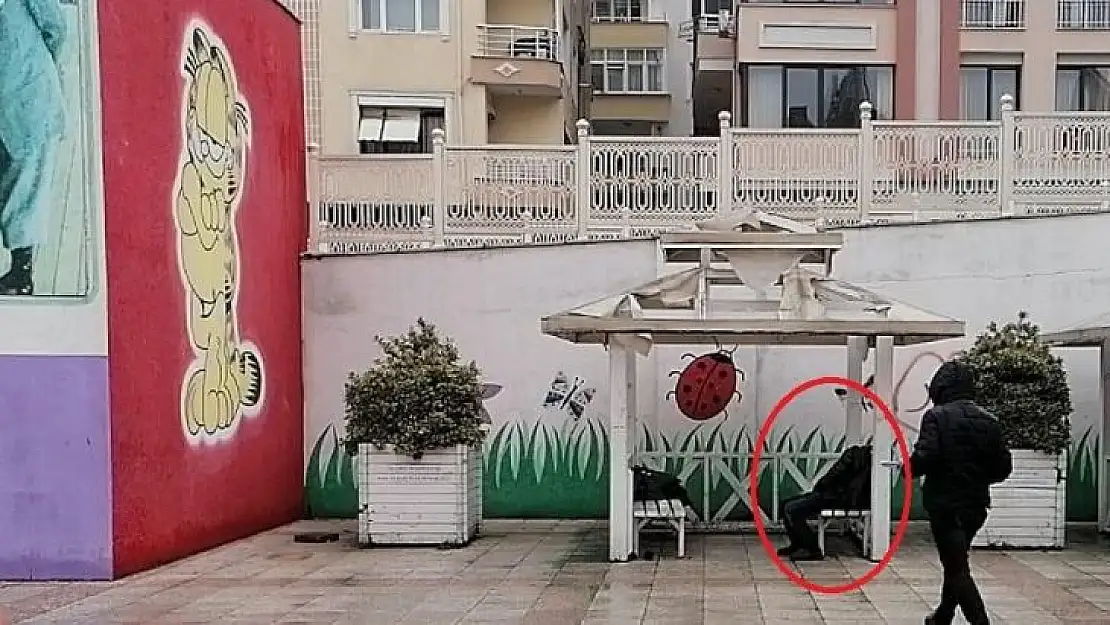 Çocuk parkındaki kamelyada ölü bulundu