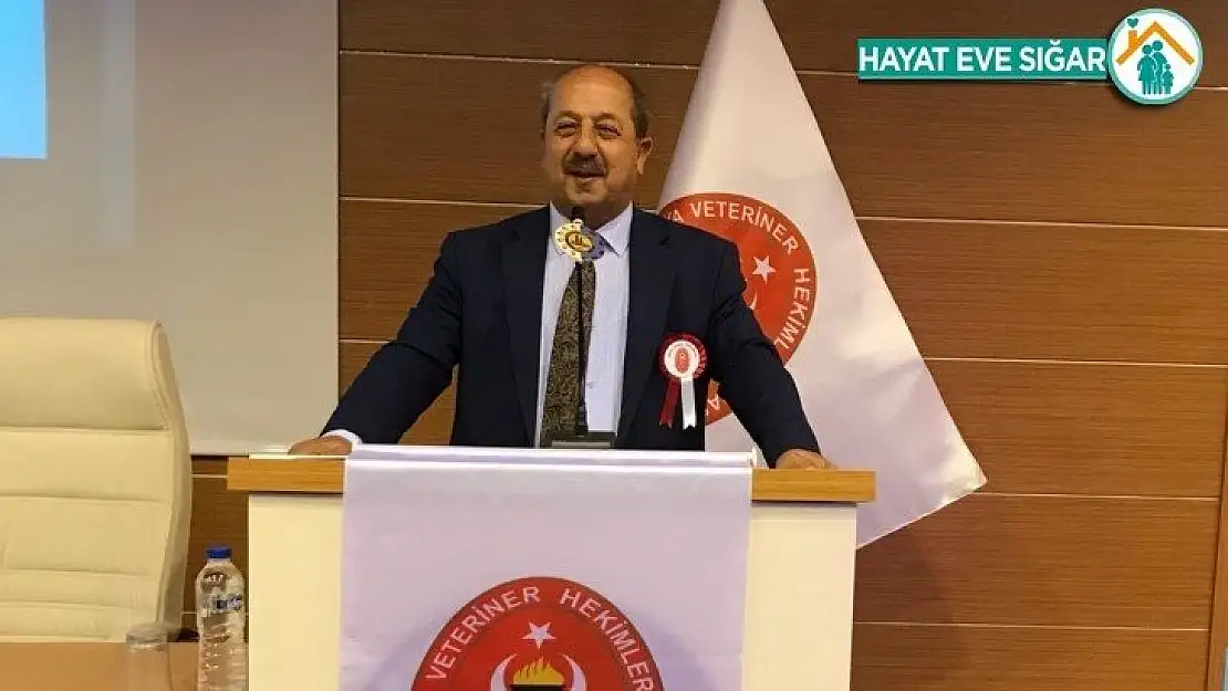 Covid-19'da hayvanların önemi