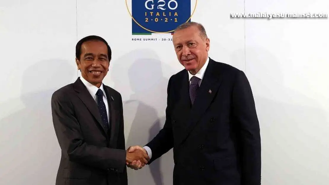 Cumhurbaşkanı Erdoğan, Endonezya Devlet Başkanı Widodo ile görüştü