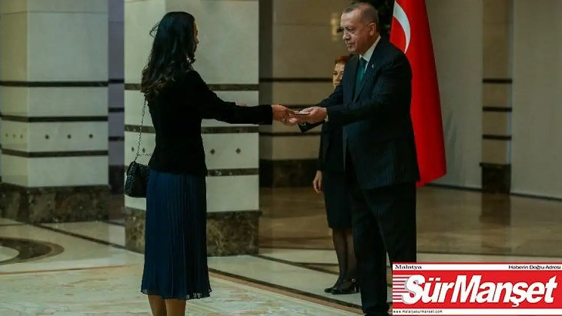 Cumhurbaşkanı Erdoğan, Estonya Büyükelçisini kabul etti