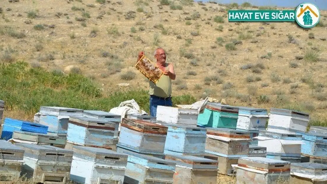 Darendeli Arıcılar, bu yıl verim yüksekliğinden umutlu