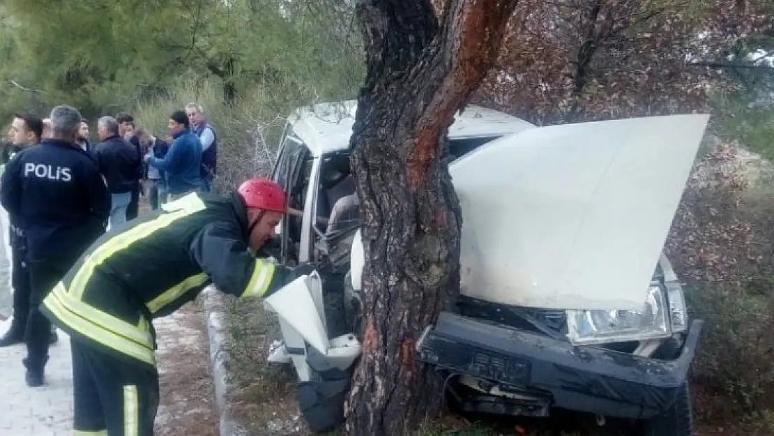 Denizli'de otomobil ağaca çarptı: 1 ölü, 1 yaralı