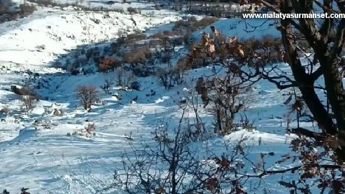 Deprem yaban keçilerini de ürküttü