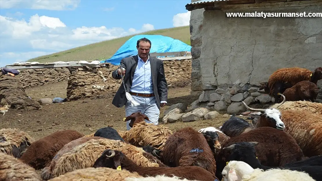 Devletten aldığı hibeyle köyünde kalıp sürü sahibi oldu