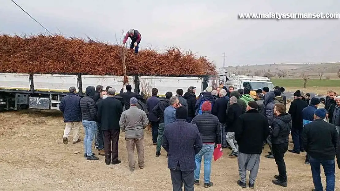 Dicle'de 111 çiftçiye 33 bin 880 adet badem, ceviz ve fıstık fidanı dağıtıldı